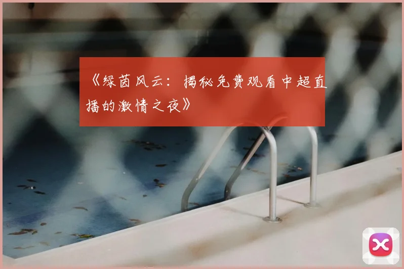 《绿茵风云:揭秘免费观看中超直播的激情之夜》